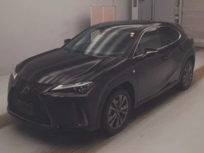 Lexus UX250h