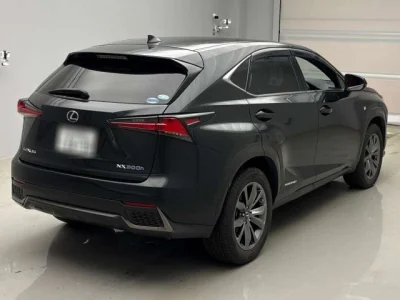 Lexus NX300h
