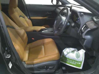 Lexus UX250h