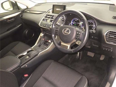 Lexus NX300h