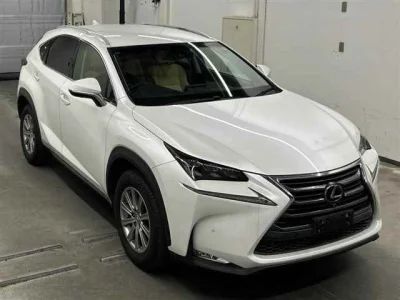 Lexus NX300
