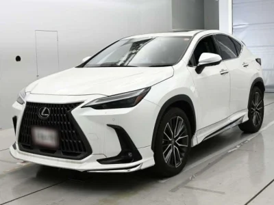 Lexus NX250