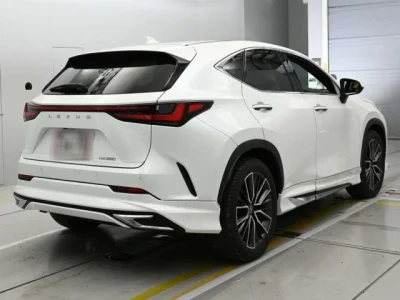Lexus NX250