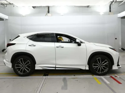 Lexus NX250