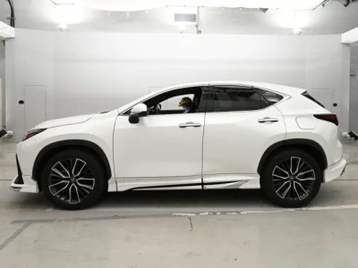 Lexus NX250