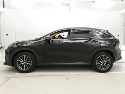 Lexus NX250