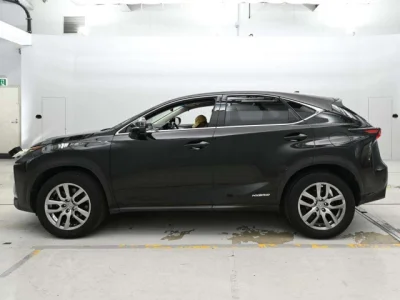Lexus NX300h