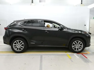 Lexus NX300h