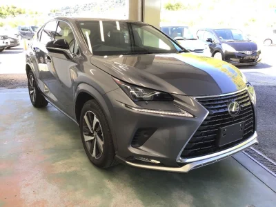 Lexus NX300