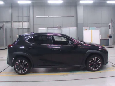 Lexus UX250h