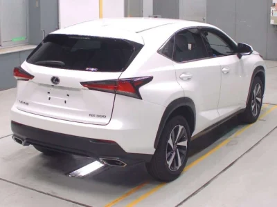 Lexus NX300