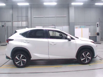 Lexus NX300