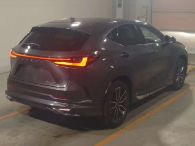 Lexus NX450h+