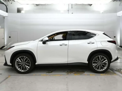 Lexus NX250