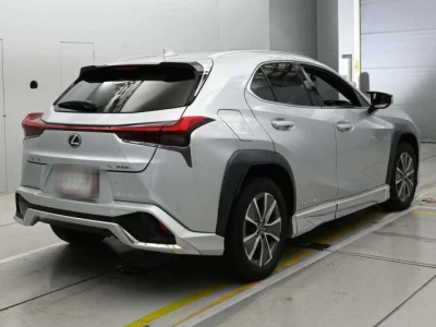 Lexus UX300e