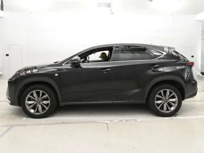 Lexus NX300