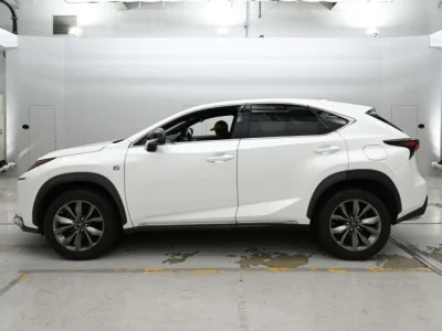 Lexus NX300