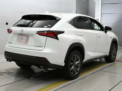 Lexus NX300