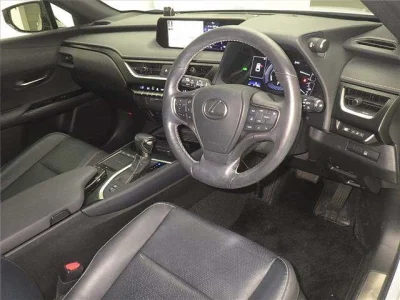 Lexus UX250h