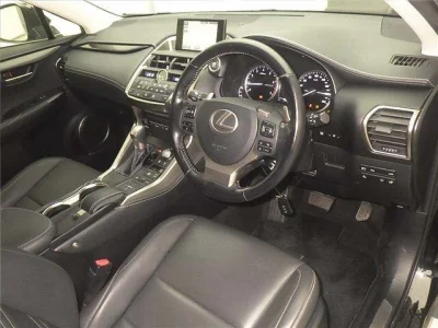 Lexus NX300