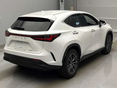Lexus NX250