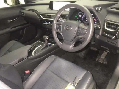 Lexus UX250h