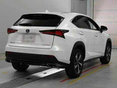Lexus NX300