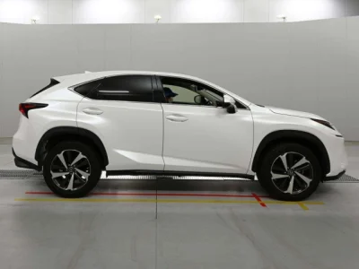 Lexus NX300
