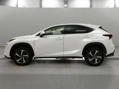 Lexus NX300