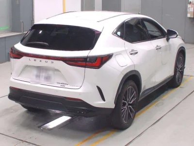 Lexus NX450h+