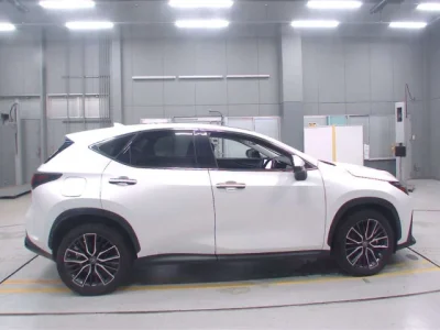 Lexus NX450h+