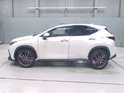 Lexus NX450h+