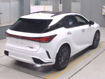 Lexus RX500h