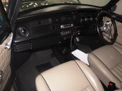 Rover MINI