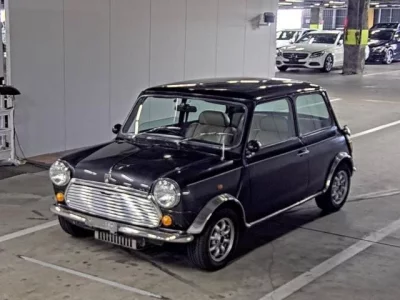 Rover MINI
