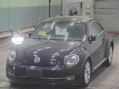 Volkswagen THE BEETLE