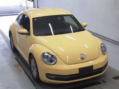 Volkswagen THE BEETLE