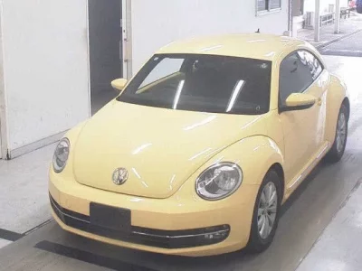 Volkswagen THE BEETLE