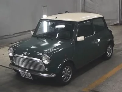 Rover MINI