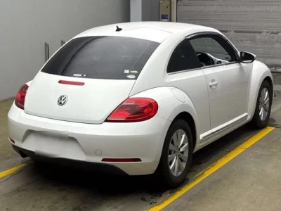 Volkswagen THE BEETLE
