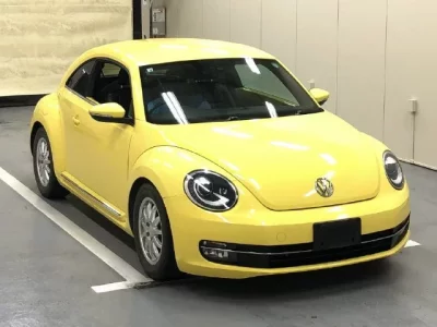 Volkswagen THE BEETLE