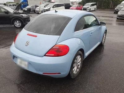 Volkswagen THE BEETLE