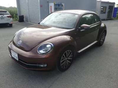 Volkswagen THE BEETLE