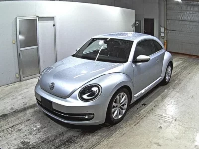 Volkswagen THE BEETLE