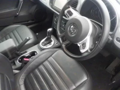 Volkswagen THE BEETLE