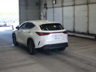 Lexus NX