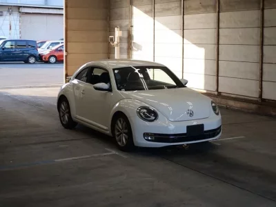 Volkswagen THE BEETLE