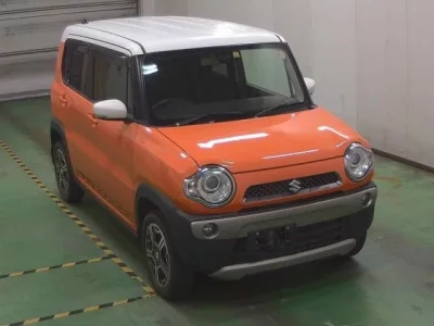 Suzuki HUSTLER