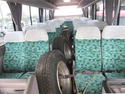 Hino MELPHA