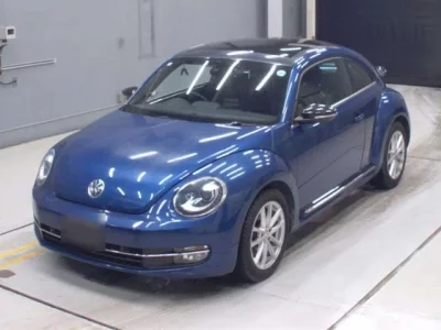 Volkswagen THE BEETLE